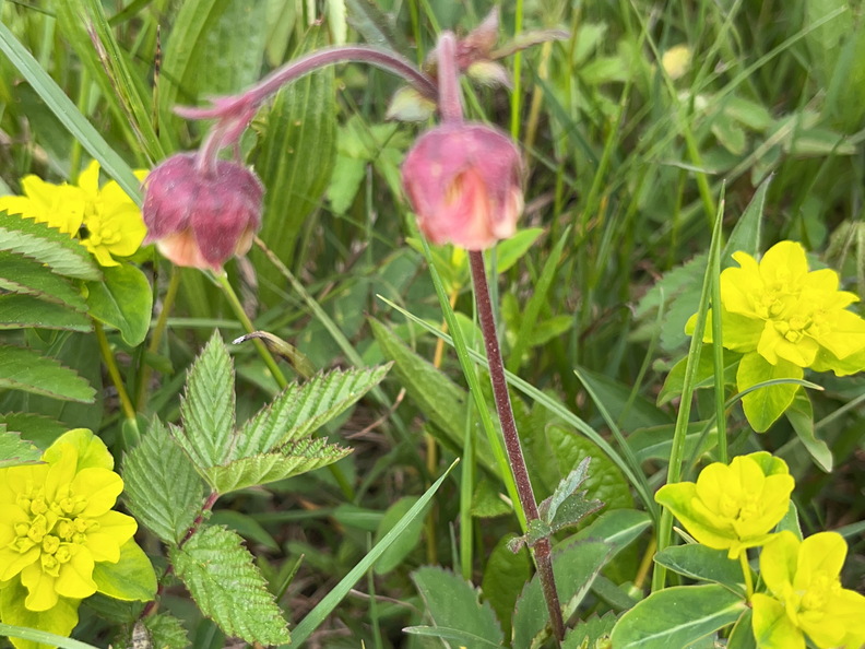 23-05-21 17-24-15 5542